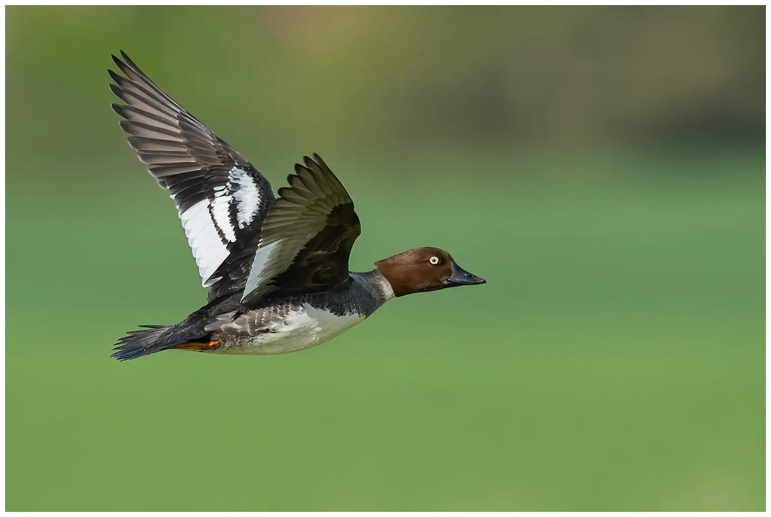 Telkkä