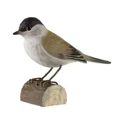 Mustapääkerttu (puu)