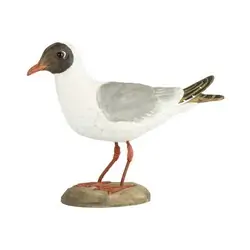 Naurulokki (puu)