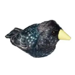 Kottarainen (äänellä)