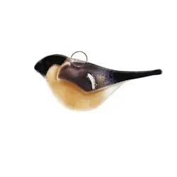 Punatulku - naaras (lasi)
