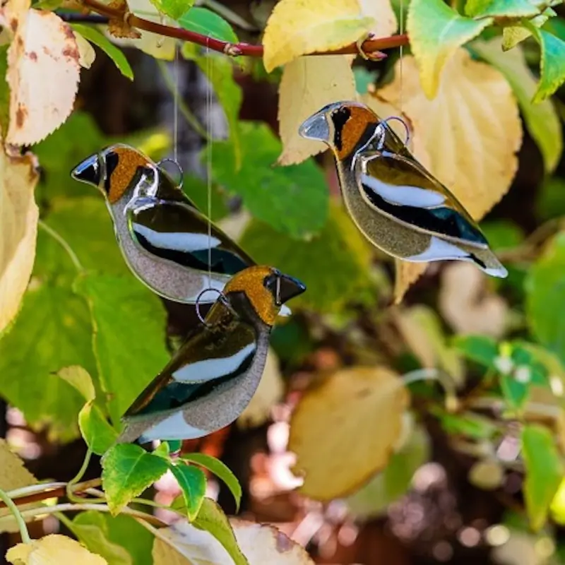 Nokkavarpunen (lasi)