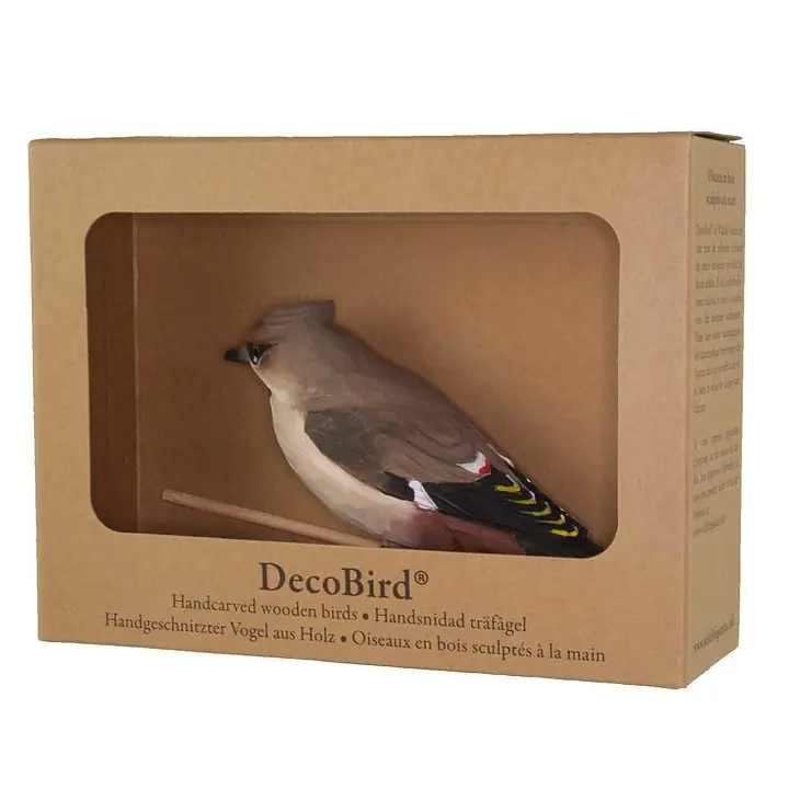 Tilhi (puu)