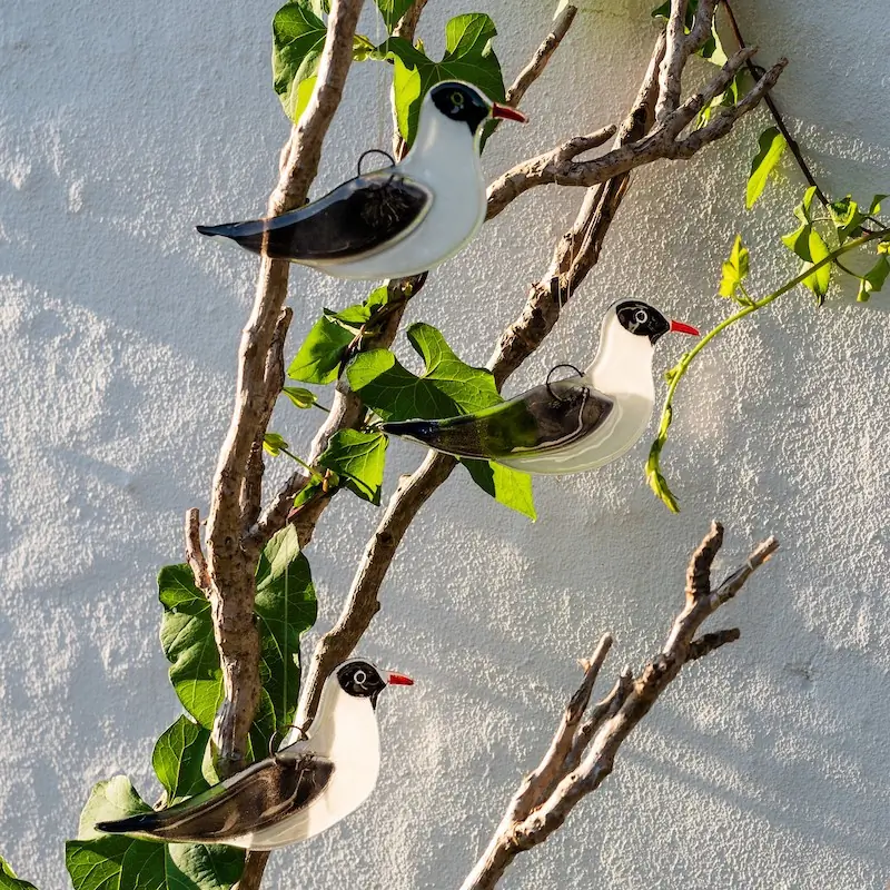Naurulokki (lasi)