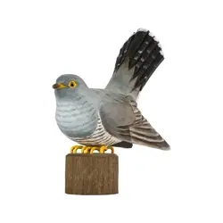 Käki (puu)