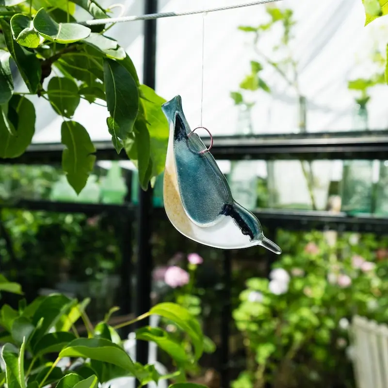 Pähkinänakkeli (lasi)